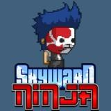 play Skyward Ninja