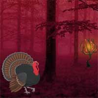 play Wild Turkey Fairyland Escape