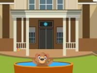 play Brown Bear Escape