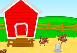 play Turkey Farm Escape