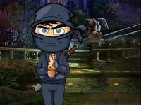 play Ninja Escape