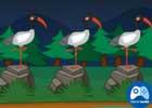 play Birds Sanctuary Escape