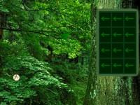 play Greenwood Forest Escape