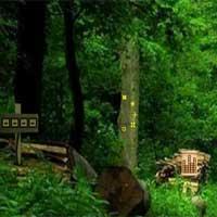 play Greenwood Forest Escape