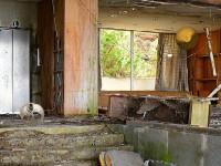 play Abandoned Supermarket Escape