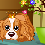 Royal Pet Dog Escape