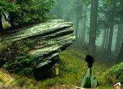 play Rock Lush Forest Escape