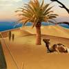 play Escape Game Lost In Desert