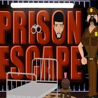 play Zoozoo Prison Escape