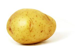 play Spud Farmer 2016