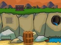 play Forest Tortoise Rescue