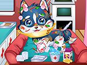 play Baby Puppy Doctor