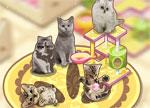 play Cat House