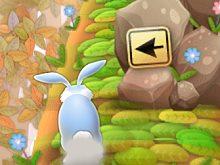 play Hop Don'T Stop!