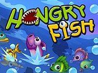 play Hungry Fish