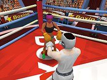 play Summer Sports: Boxing