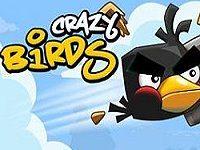play Crazy Birds