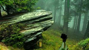 Rock Lush Forest Escape