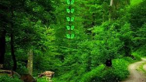 play Greenwood Forest Escape