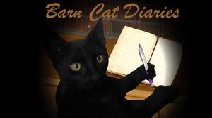 play Barn Cat Diaries 1: My Birthday