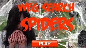 play Weg Search Spiders