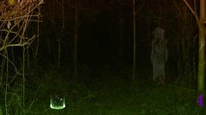 play Horrify Forest Escape