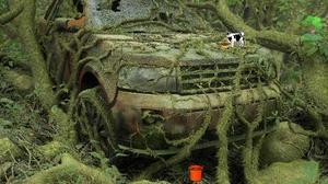 play Abandoned Jungle Escape