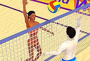 play Summer Sports: Volleyball