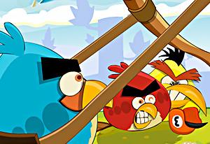 play Angry Birds Punisher
