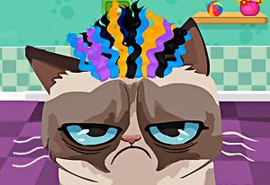 play Angry Cat Hair Salon