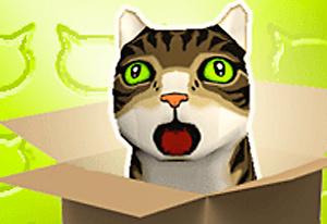 play Catbox Bowling