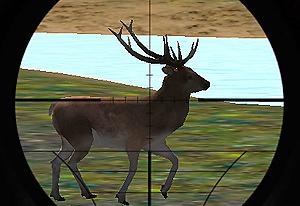 play Animal Hunter 3D