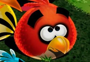 play Save The Angry Bird