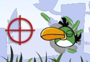 play Angry Birds Hunting