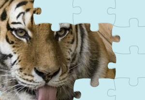play Mini Puzzles