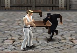 play Karate King