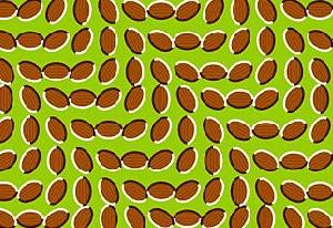 play 50 Optical Illusions