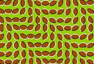 50 Optical Illusions