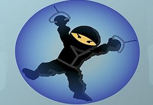 play Ninja Roll