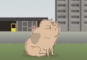 play Monster Pig