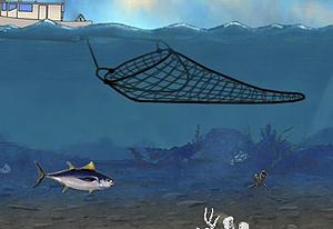 play Ocean Survivor