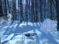 play Alaskan Winter Forest Escape