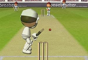 play Flash Cricket 2