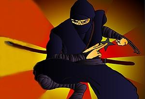 play Ninja Guiji