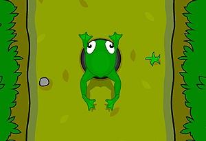 play Frog Race