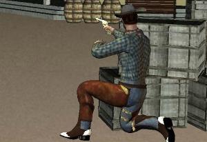 play Wild Pistol