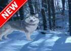 play Alaskan Winter Forest