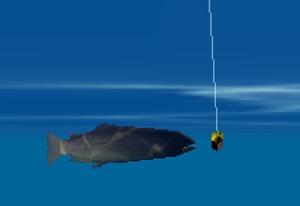 play Big Catch