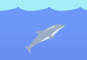 play Dolphin Olympics