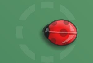 play Lucky Ladybug